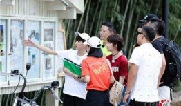 青春旅社在线观看,青春记忆里的温馨时光